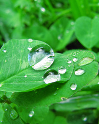 Similar image 182527