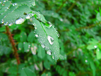 Similar image 182528