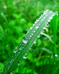 Similar image 182529