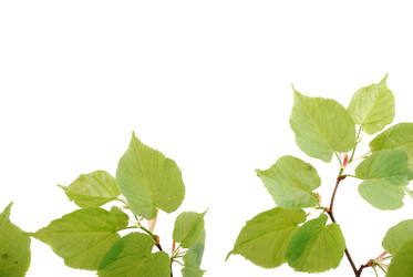 Similar image 182544