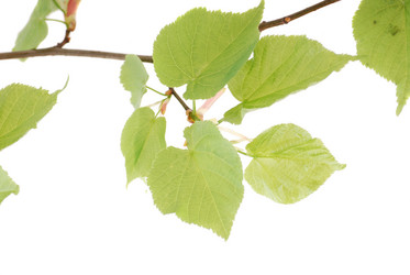 Similar image 182546