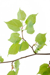 Similar image 182547