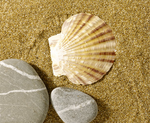 Similar image 182558