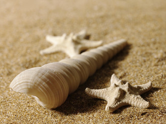 Similar image 182560