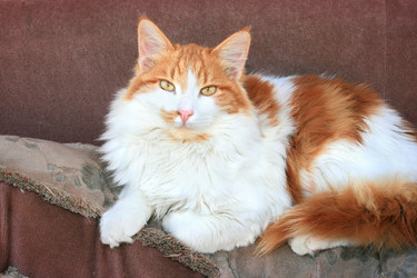 Similar image 182561