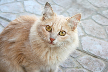 Similar image 182563