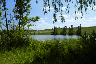 Similar image 182609