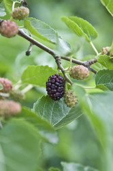 Similar image 182617