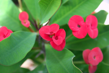 Similar image 182652