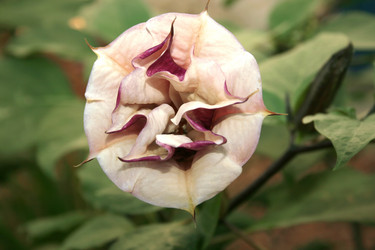 Similar image 182654