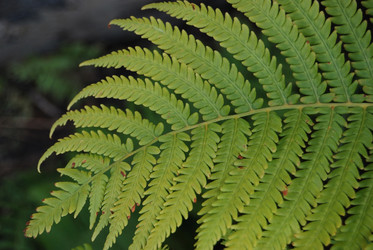 Similar image 182655