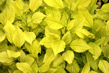 Similar image 182656