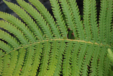 Similar image 182657