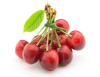 Similar image 182662