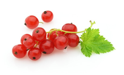 Similar image 182663