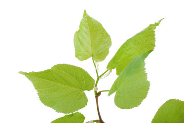 Similar image 182672