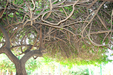 Similar image 182680