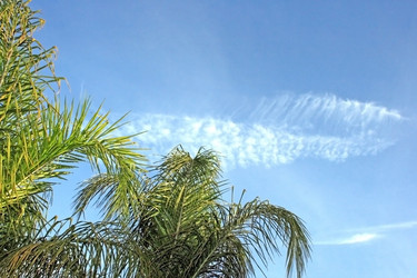 Similar image 182682