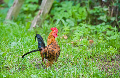 Similar image 182685