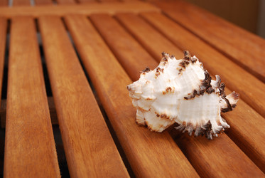 Similar image 182695