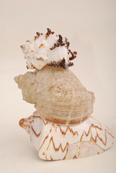 Similar image 182697