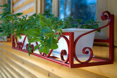 Similar image 182725