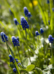 Similar image 182730