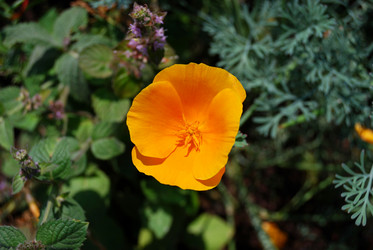 Similar image 182737