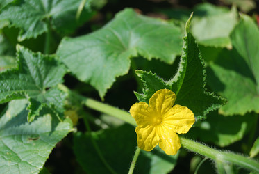 Similar image 182740