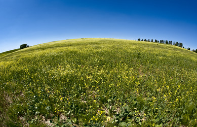 Similar image 182768