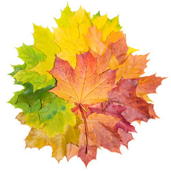 Similar image 182802