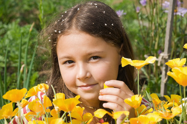 Similar image 182803