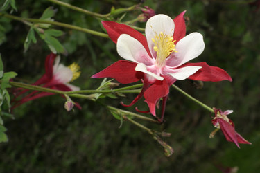 Similar image 182873