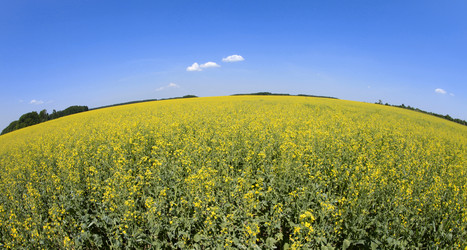 Similar image 182931