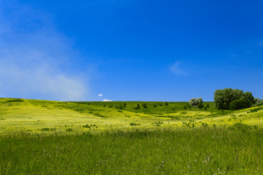 Similar image 182941