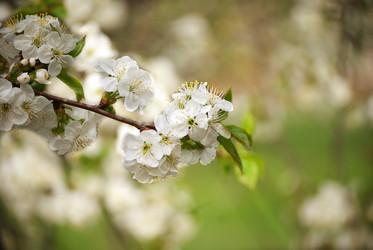 Similar image 182978