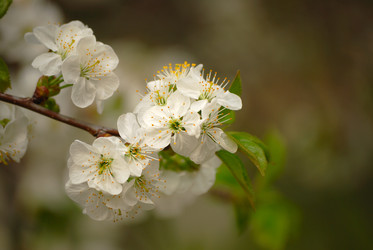 Similar image 182979