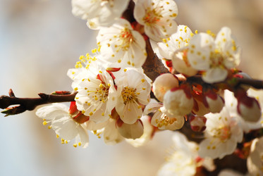 Similar image 182980