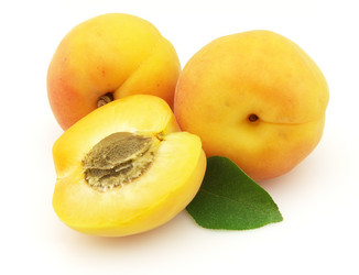 Similar image 182988