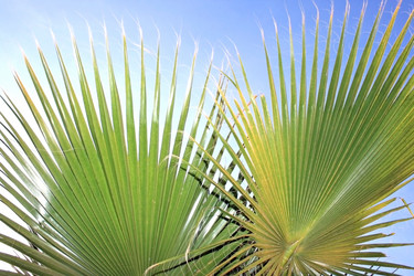 Similar image 183026