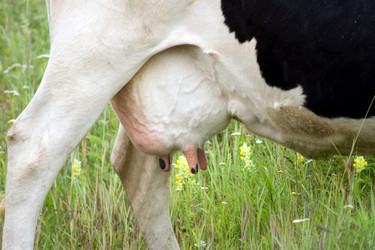 Similar image 183034