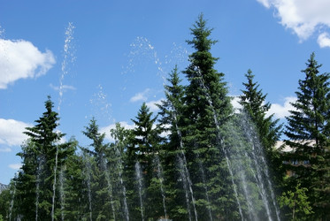 Similar image 183039