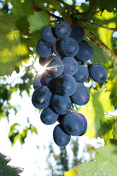 Similar image 183066