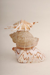 Similar image 183156