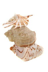 Similar image 183157