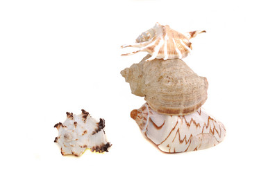 Similar image 183158