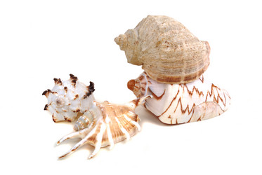 Similar image 183159