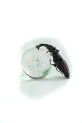 Similar image 183200