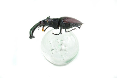 Similar image 183202