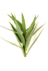 Similar image 183213